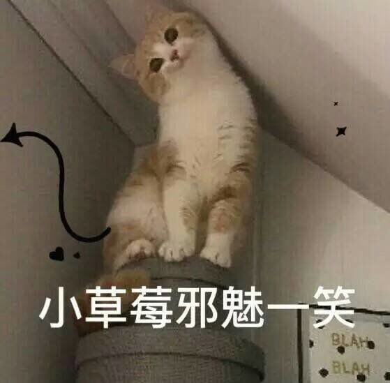 小草莓邪魅一笑