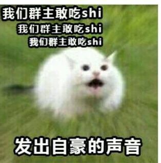 我们群主敢吃shi我们群主取吃sh我们群主敢吃shi发出自豪的声音