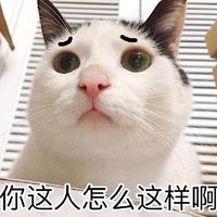 你这人怎么这样啊