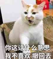 你这话优么意思我不喜欢撒回去
