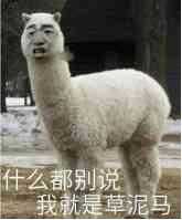 什么都别说我就是草泥马