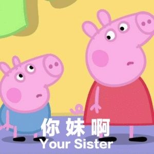 你妹啊一Your Sister