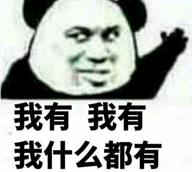 我有，我什么都有