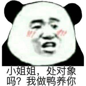 小姐姐，处对象吗