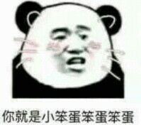 你就是小笨蛋笨蛋笨蛋