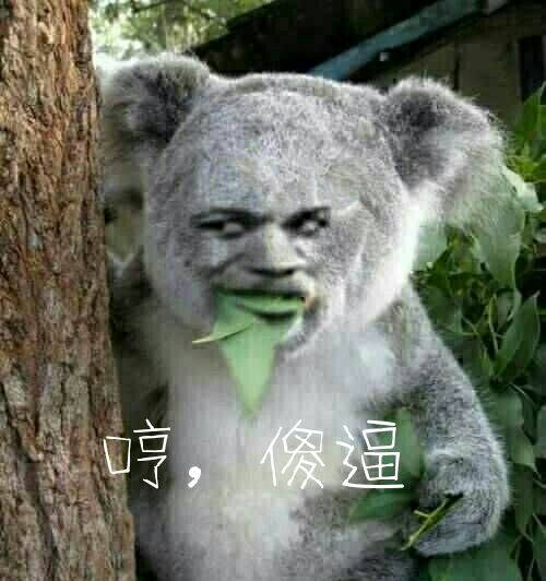 哼，傻逼