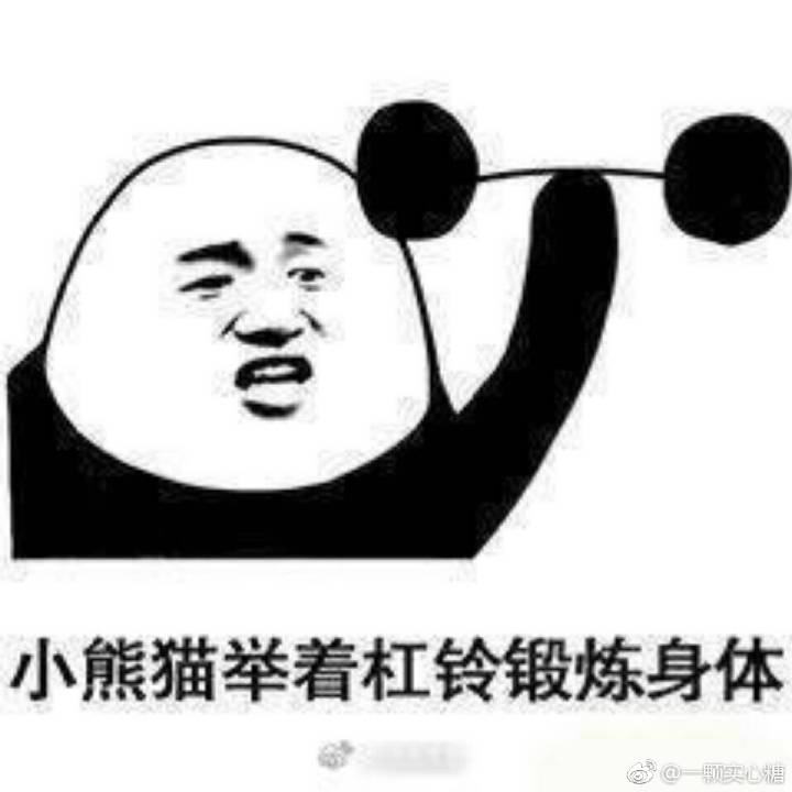 小熊猫举着杠铃锻炼身体