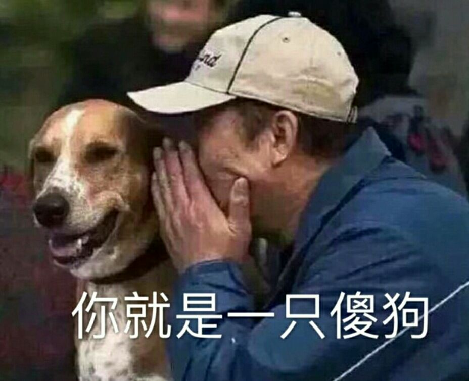 你就是一只傻狗