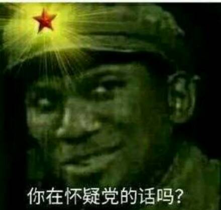 你在怀疑党的话吗