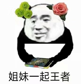 姐妹一起王者