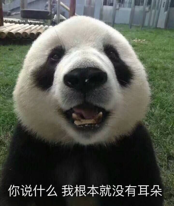 你说什么我根本没有耳朵