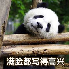 满脸都写的高兴