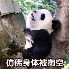 仿佛身体被掏空