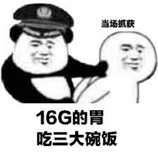 16g的大胃吃三大碗饭