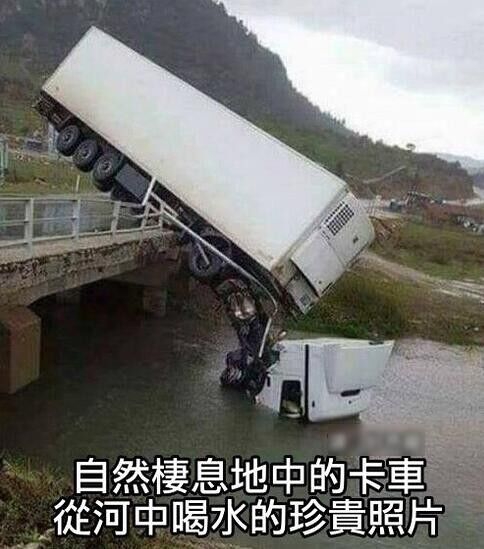 自然栖息地中的卡车