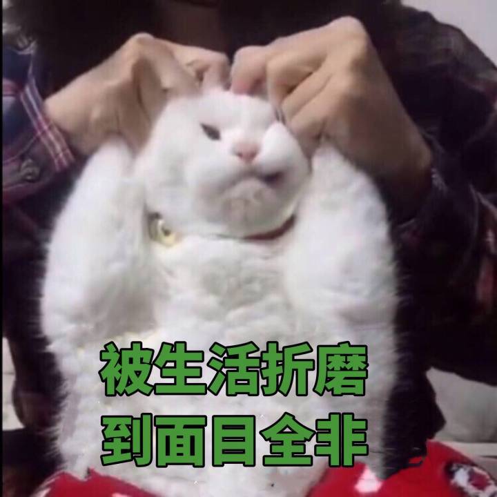 被生活折磨的面目全非