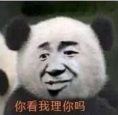 你看我理你吗