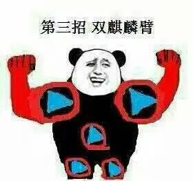 第三招双麒麟臂