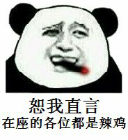 恕我直言