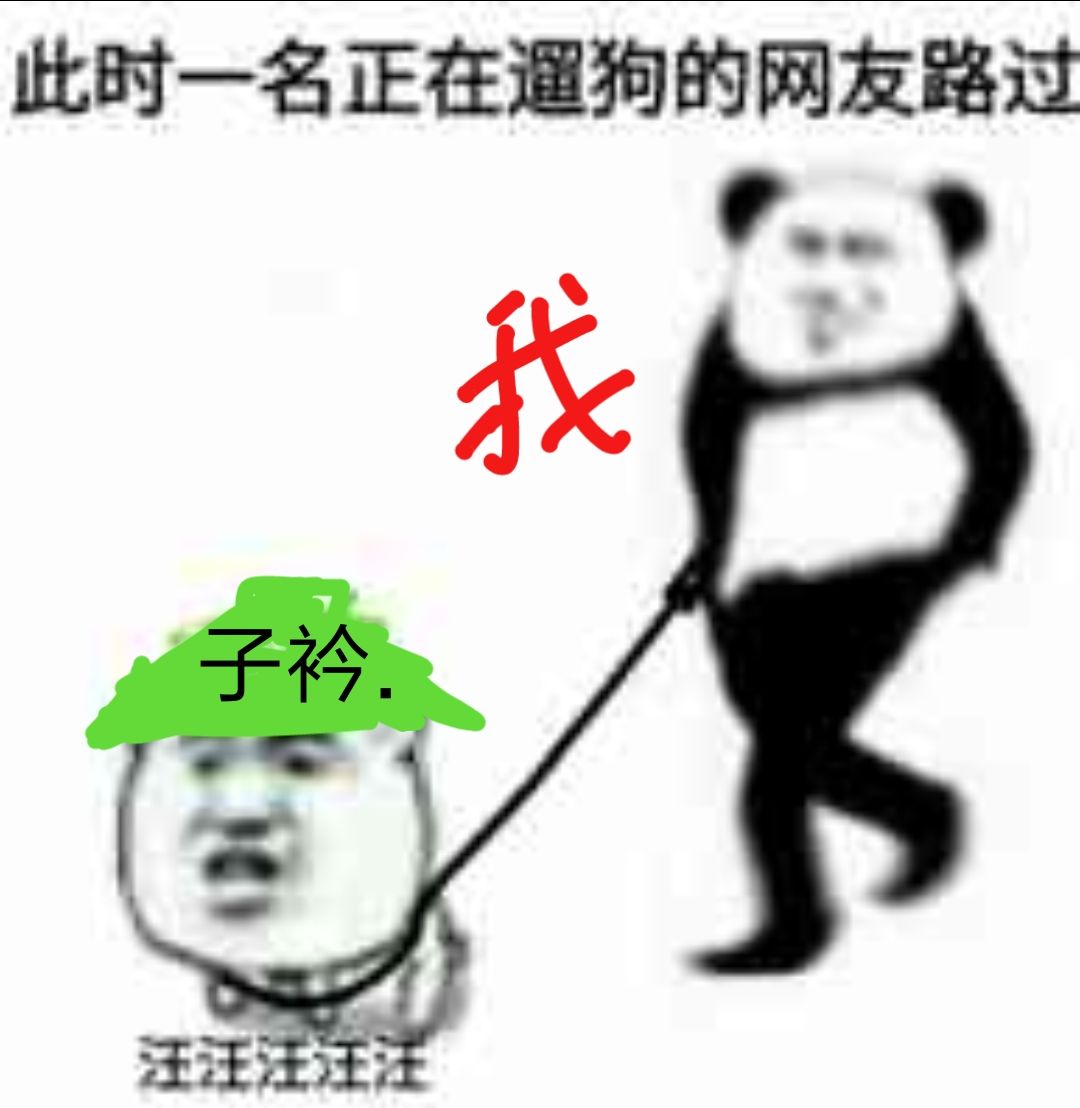 此时一名正在遛狗的网友路过子衿汪汪注注注