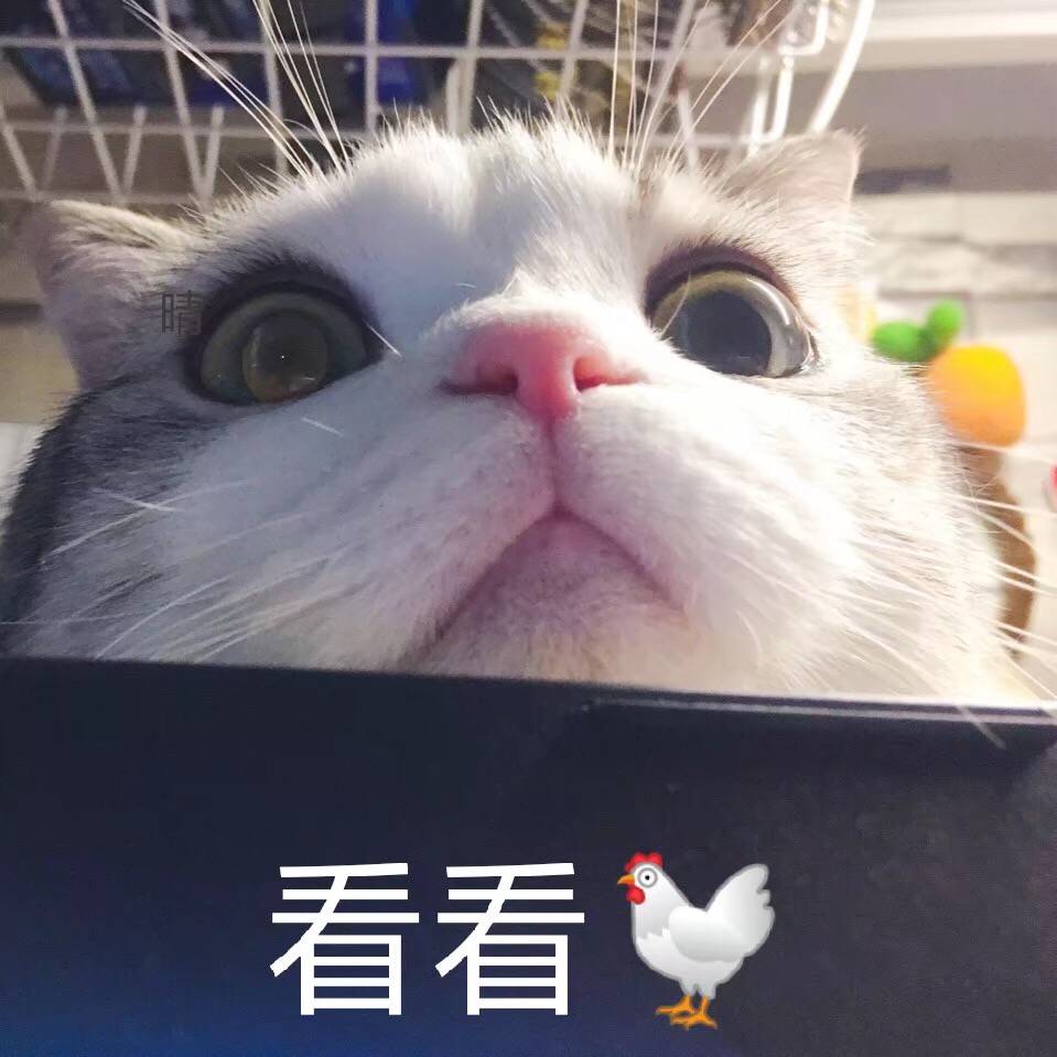 看看