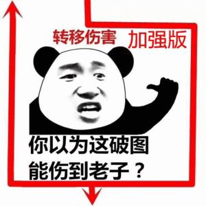 转移伤害加强版你以为这破图能伤到老子？