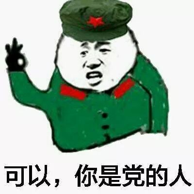 可以，你是党的人吗