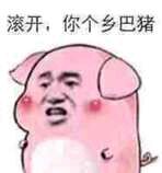 滚开，你这个乡八猪