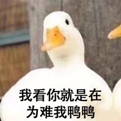 我看你是在为难我鸭鸭