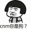 cnm你是狗？