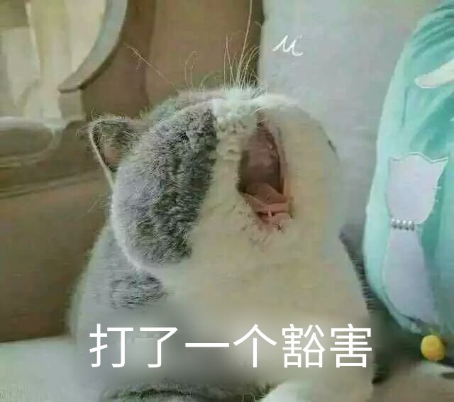 打了一个豁害