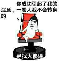 你成功引起了我的注意，一般人我不会转身的寻找大傻逼