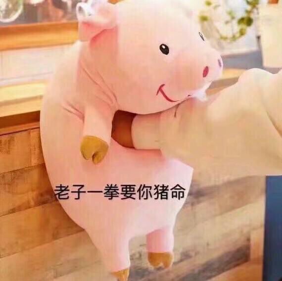 老子一拳要你猪命