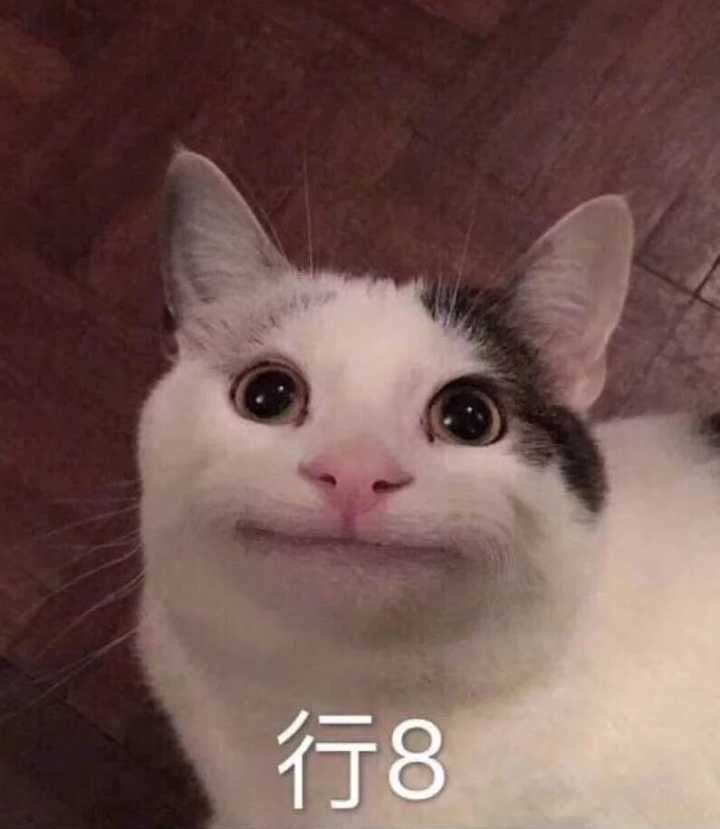 行8