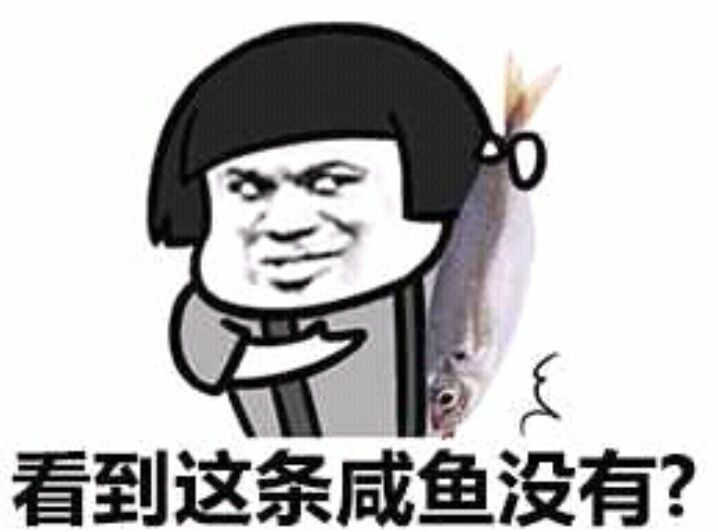 看到这条成鱼没有？