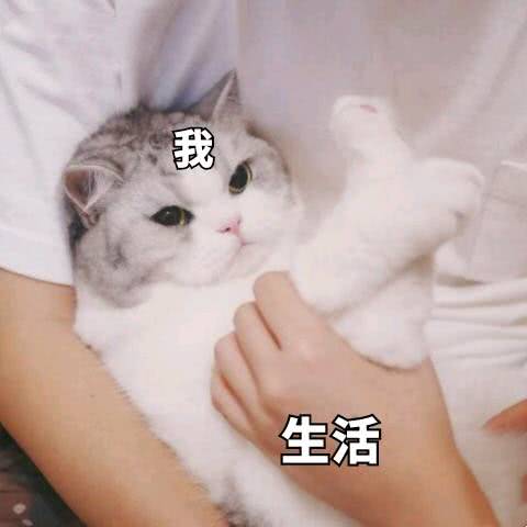 生活