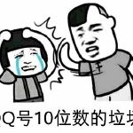 Q位10位数的垃圾