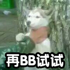 再BB试试