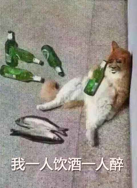 我一人饮酒人醉