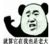 就算它在我也是老大