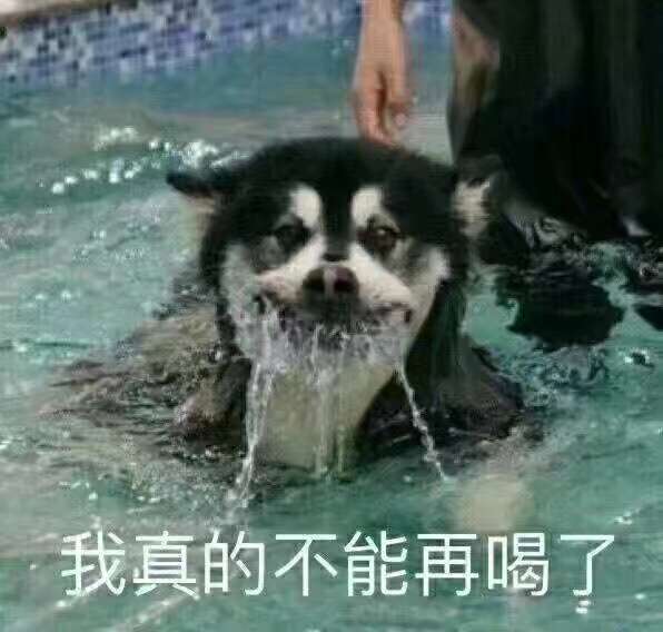 wid我真的不能再喝了