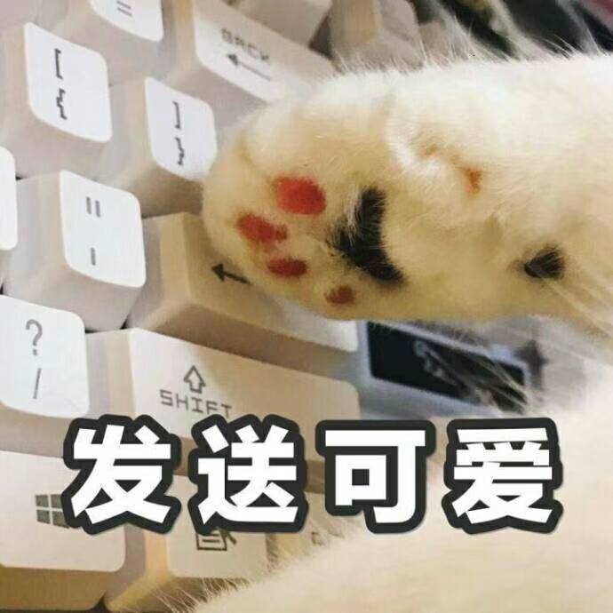 H工F发送可爱