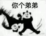 你个弟弟