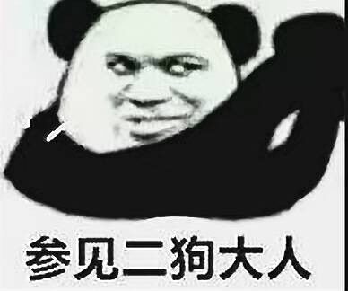 参见二狗达人