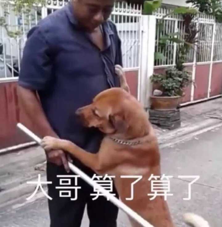 大哥，算了算了