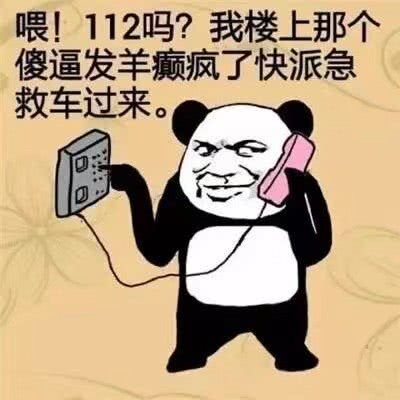 喂，112吗？我楼上那个傻逼发羊癫疯了