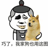 巧了，我家狗也用这图