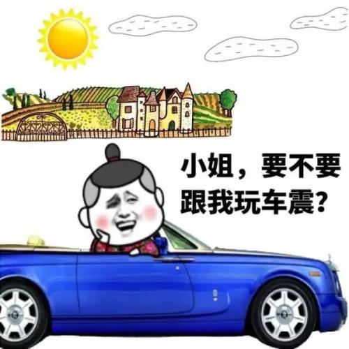 小姐，要不要跟我玩车震？