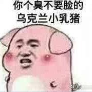 你个臭不要脸的乌克兰小乳猪