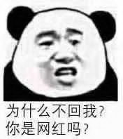 为什么不回我？你是网红吗？